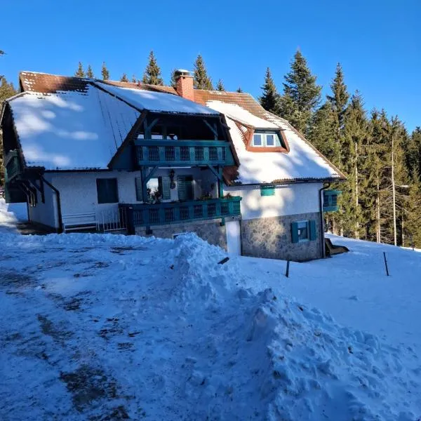 Apartma Jurček Rogla，位于Rakovec的酒店