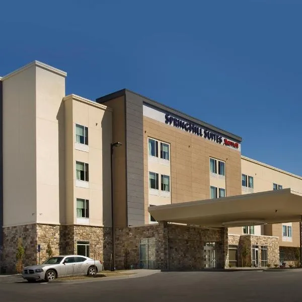 SpringHill Suites by Marriott Bridgeport Clarksburg，位于布里奇波特的酒店