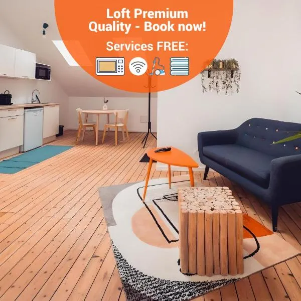 Loft lumineux très spacieux - Parking gratuit，位于沙托鲁的酒店