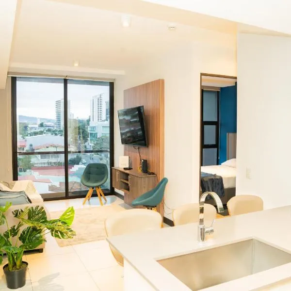 Peaceful1 Bedroom Apt Rohrmoser，位于圣何塞的酒店