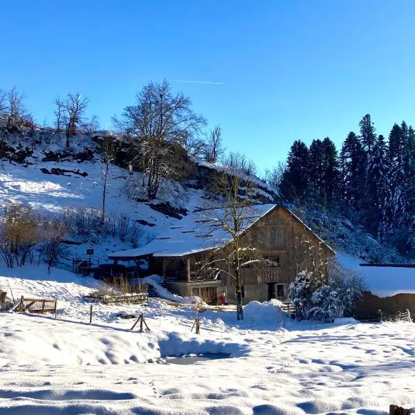 Gîte le creux de vennes，位于Guyans-Vennes的酒店