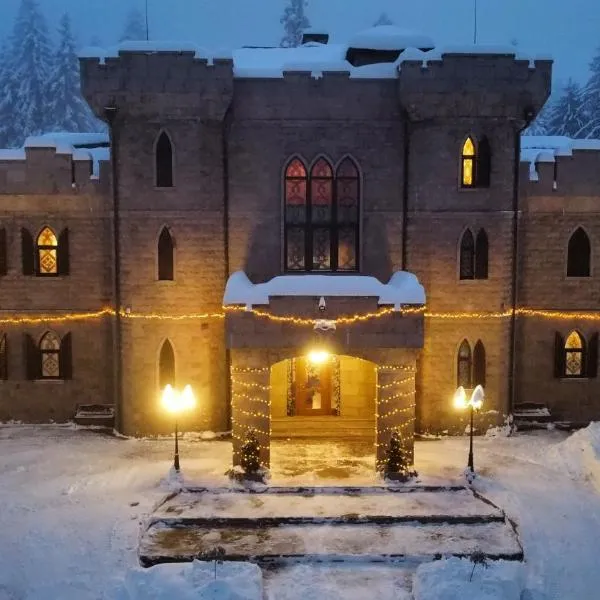 The Castle - Your unique way of retreat，位于波罗维茨的酒店