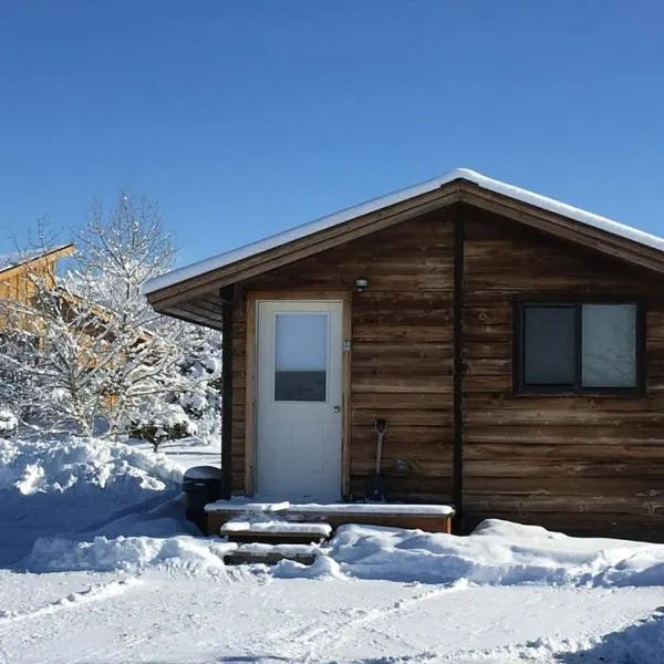Cozy Cabin escape in the Tetons，位于德里格斯的酒店