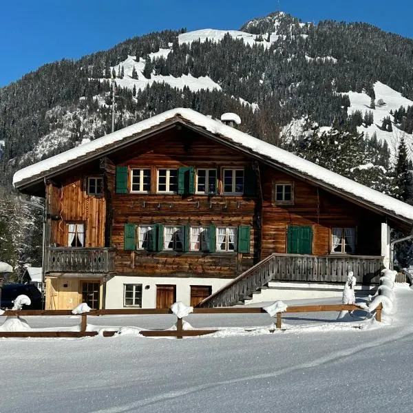 Alpenchalet Haldeli Gstaad Ferienwohnung im 1-Stock，位于格施塔德的酒店