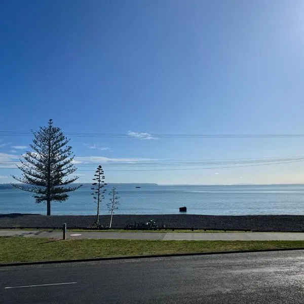 Shell's Beachfront BnB，位于纳皮尔的酒店