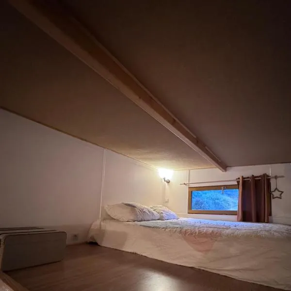 Tiny house au coeur de la foret，位于Les Martys的酒店