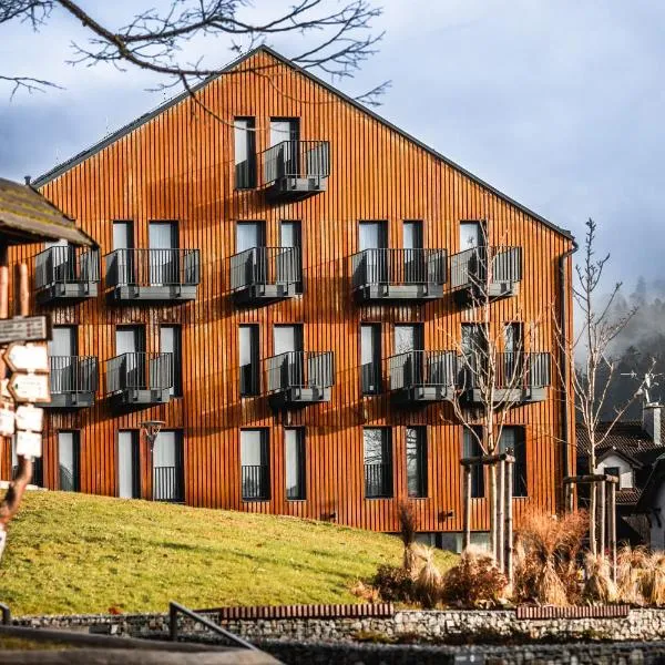 Magnetit Hotel Šumava，位于泽勒兹纳·鲁达的酒店