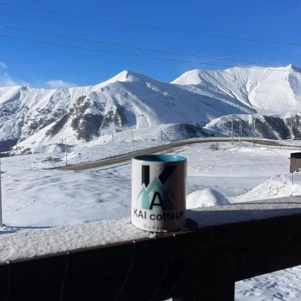 Chalet Gudauri，位于古多里的酒店
