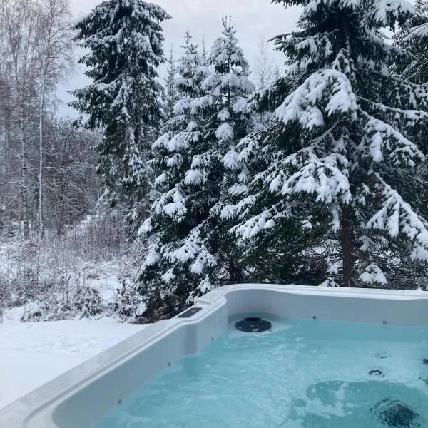 Room with sauna and jacuzzi，位于锡林耶尔维的酒店