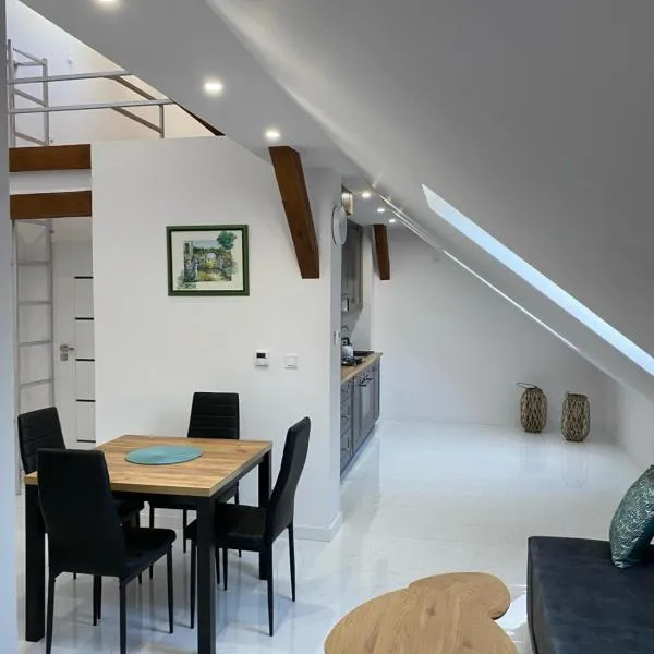 Apartament Woda i Zieleń，位于博尔内苏利诺沃的酒店