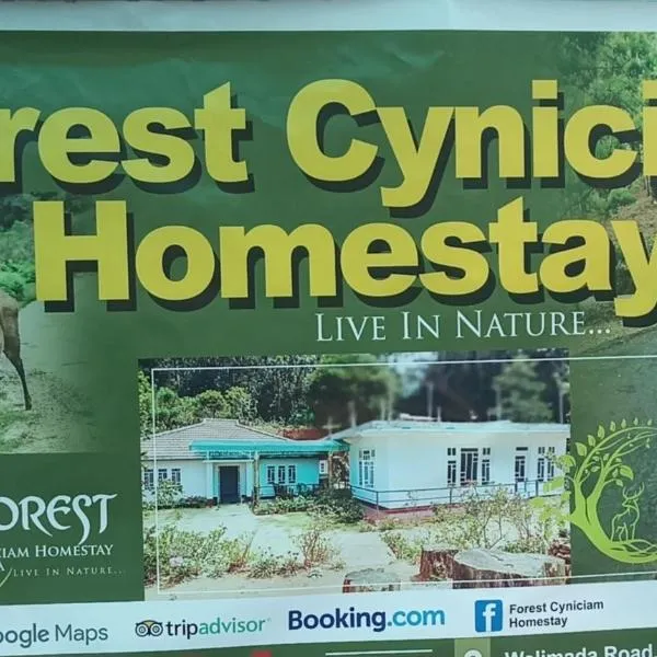 Forest Cyniciam Homestay，位于奥希亚的酒店