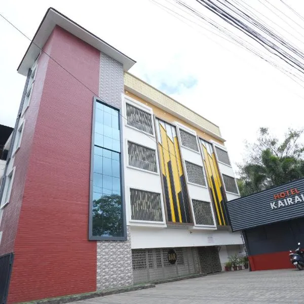 Hotel Kairali，位于帕拉克卡德的酒店