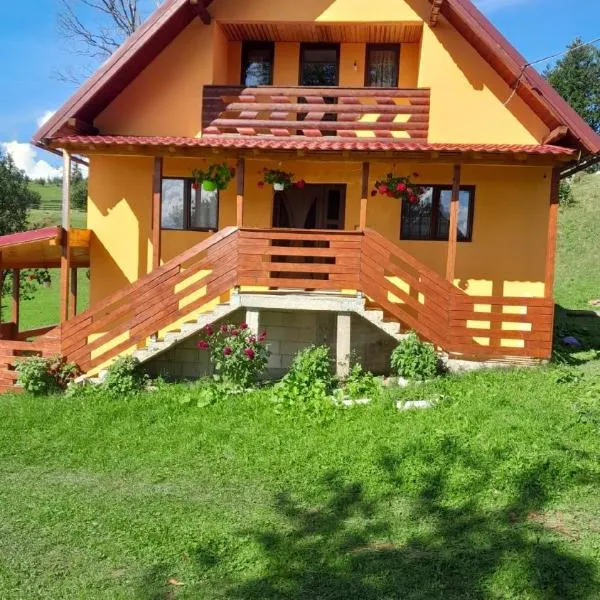 Cabana Diana Dealul Frumos，位于Hănăşeşti的酒店