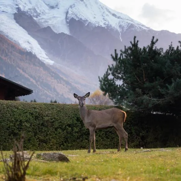 Chalet la Pagode, vue Mont-Blanc et jardin privé，位于夏蒙尼-勃朗峰的酒店