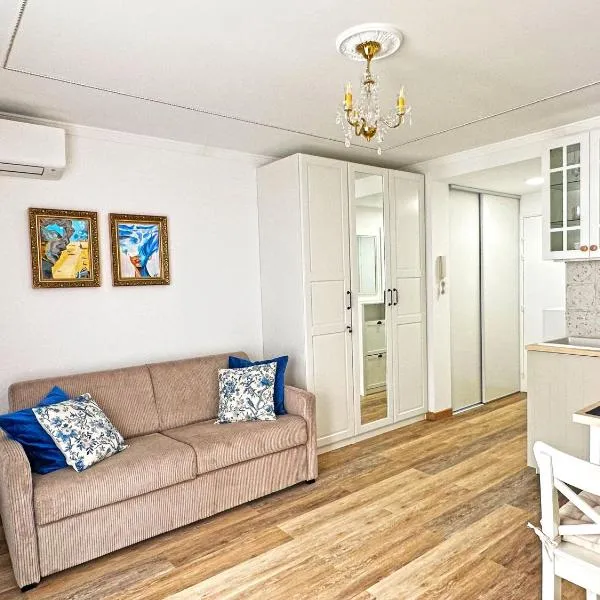 Stunning Studio Rue France Promenade des Anglais，位于尼斯的酒店