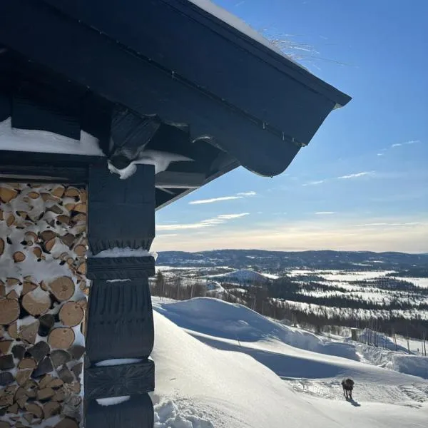 Chalet Skogshorn，位于Markegardlian的酒店