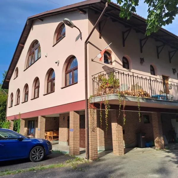 Villa Kasztanowa，位于斯凯尔涅维采的酒店