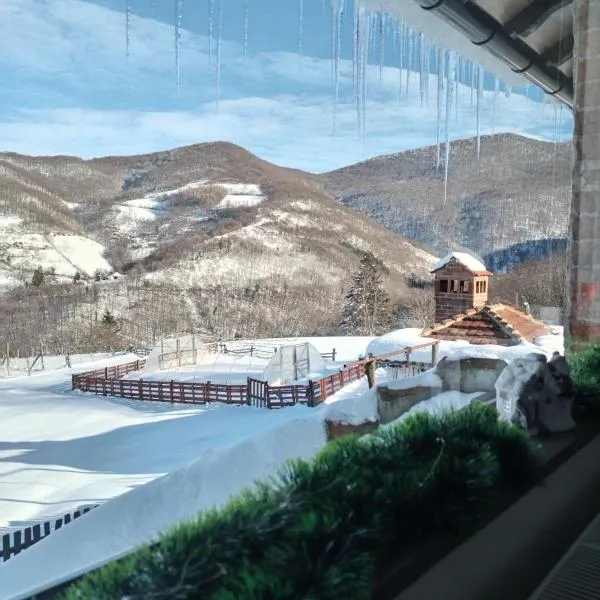 Apartmani Ružina staza，位于鲁德尼克的酒店