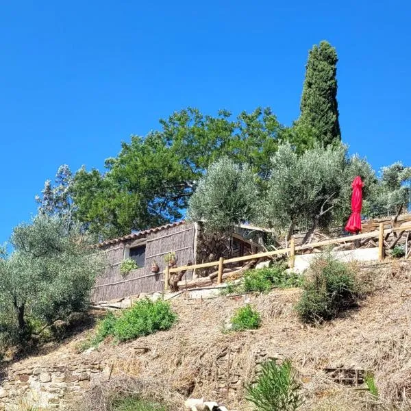 Cabanon en pierre - vue sur mer，位于耶尔的酒店