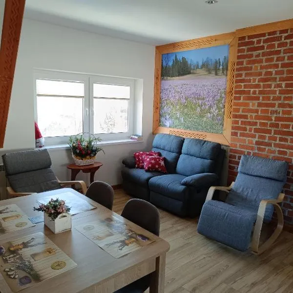 Dom W Krokusach Pokoje Gościnne，位于Nowe Bystre的酒店