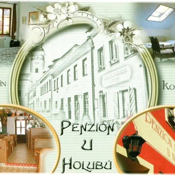 Penzion U Holubů Nový Jičín，位于新伊钦的酒店
