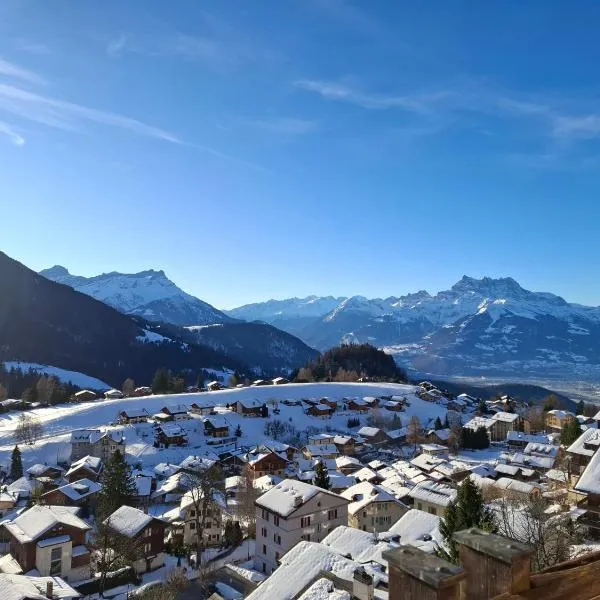 Le Nid d'aigle apt 405 Leysin centre avec forfait piscine sauna jacuzzi en option，位于莱森的酒店