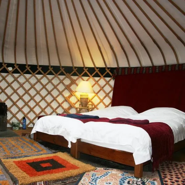 Dogwood Yurt，位于拉伊的酒店