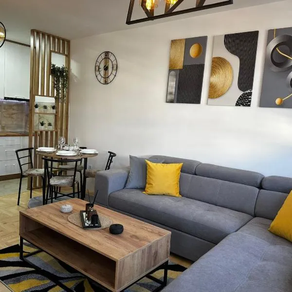 Apartman Igor，位于帕莱的酒店