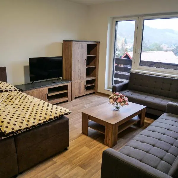 Apartmánový byt Karolína，位于诺维赫罗泽科夫的酒店