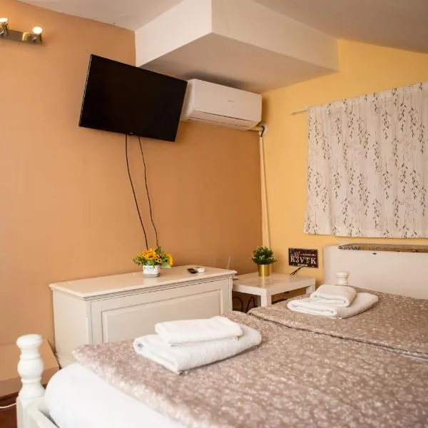 Hostel Iris，位于贝尔格莱德的酒店