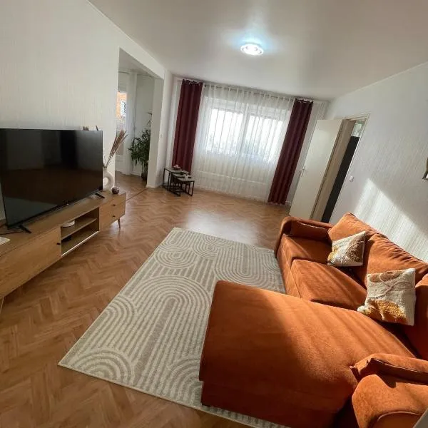 Appartement bambou，位于旺德夫尔莱南锡的酒店
