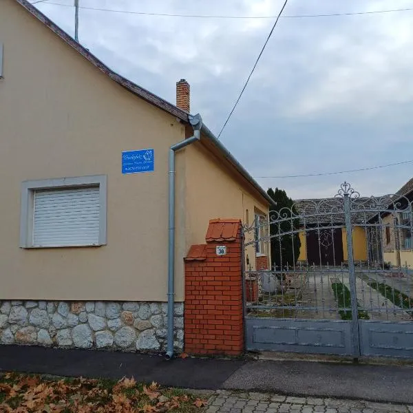Vendégház，位于Udvar的酒店