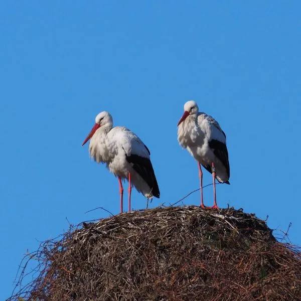 Ferienwohnung Storchenblick，位于Raisting的酒店