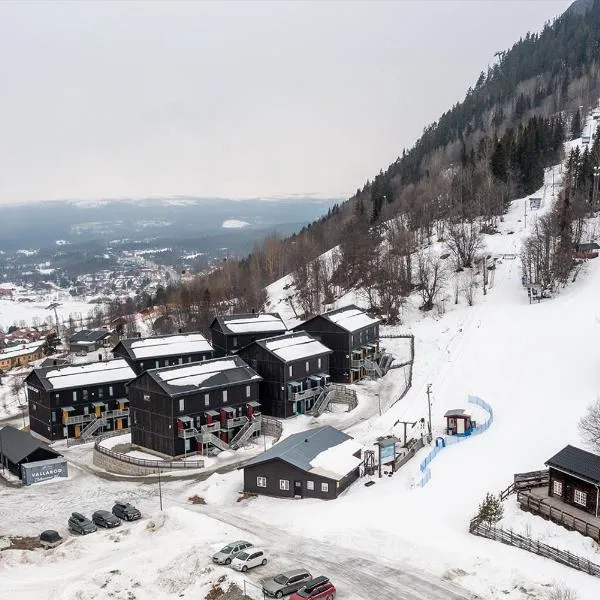 Funäs Ski Lodge，位于菲奈斯达伦的酒店