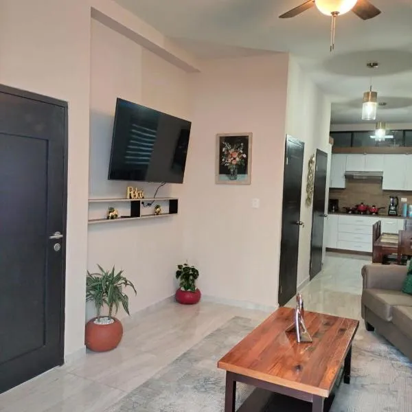 Executive Apartment，位于Ramos Arizpe的酒店