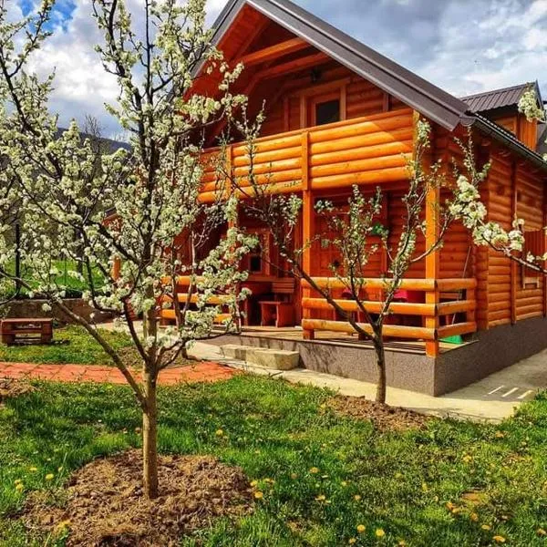 Holiday cottages with pool，位于普拉夫的酒店