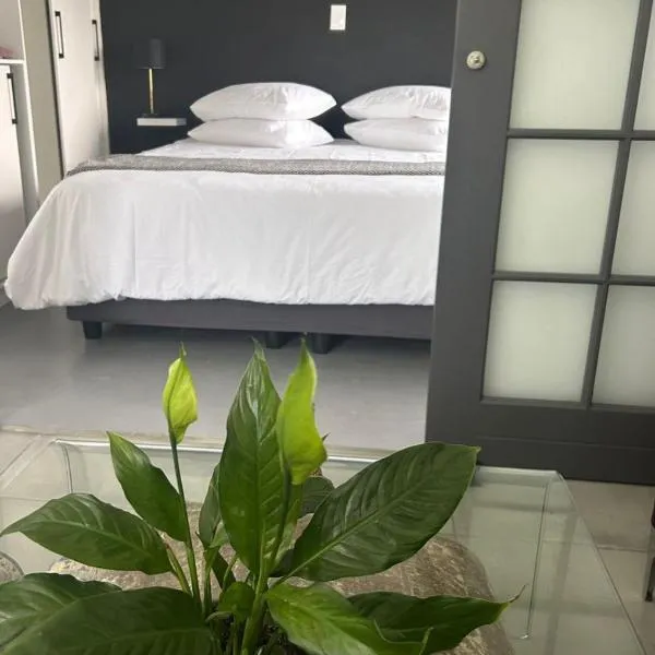 Nora's Place，位于塞吉菲尔德的酒店