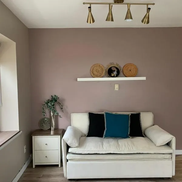 The Scandinavian House by Maple Dream Homestay- near Sky train，位于温哥华的酒店