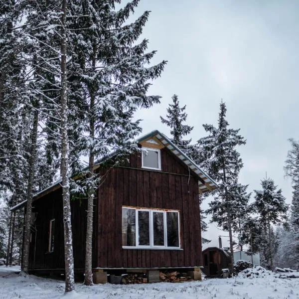 Atpūtas māja Upeskrasti，位于Kaive的酒店