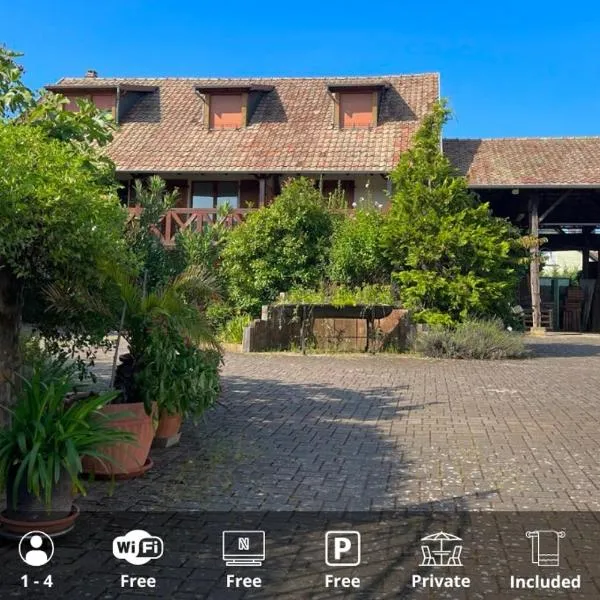La Grange - Ground Floor Apartment, Terrace, Free Private Parking, Near Colmar，位于Sainte-Croix-en-Plaine的酒店