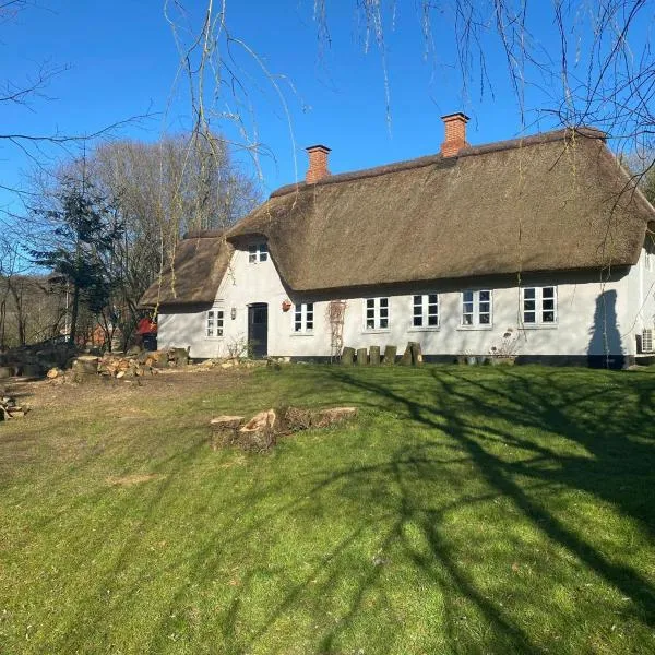 Cozy cottage getaway Holse，位于Brenderup的酒店