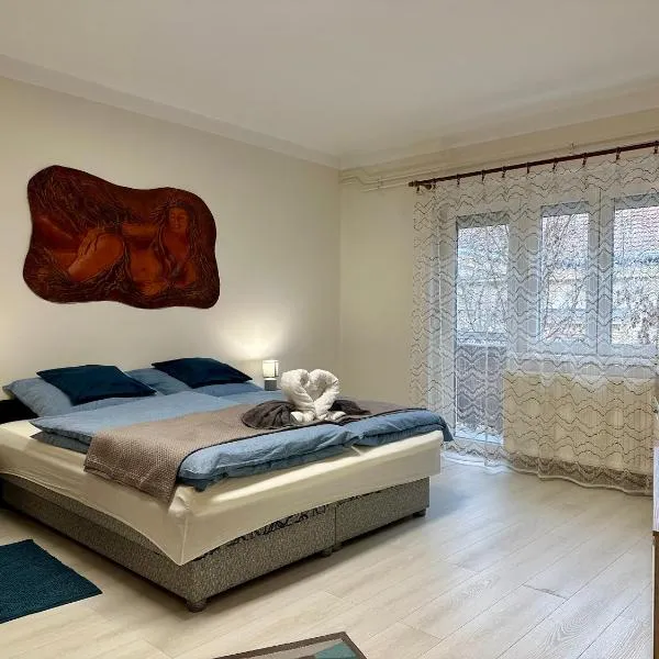 Rózsakert apartman，位于索尔诺克的酒店