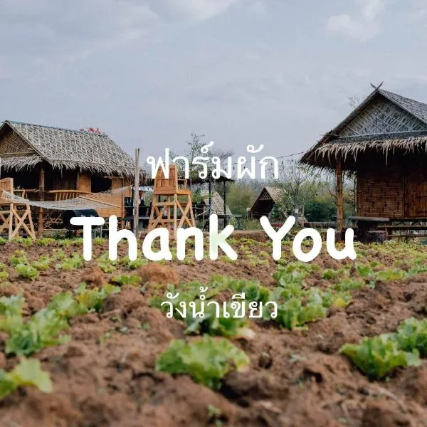 ฟาร์มผัก Thank you，位于Ban Kom的酒店