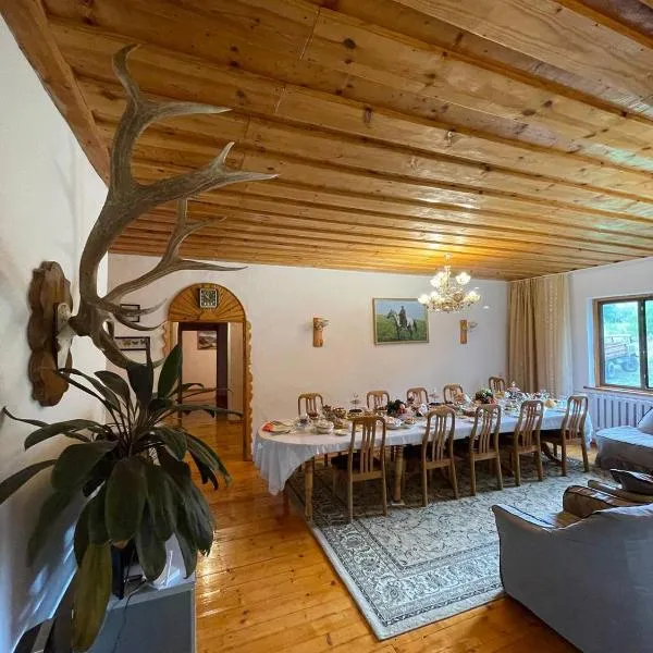 Kordon guest house，位于Krasnyy Most的酒店