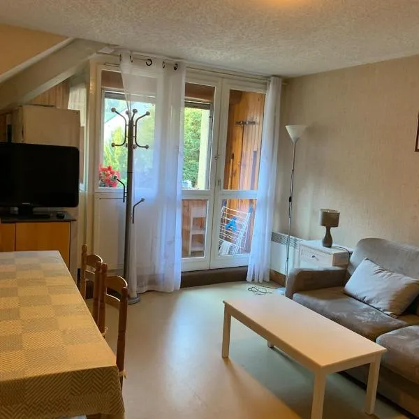 Appartement St Lary Village，位于圣拉里苏朗的酒店