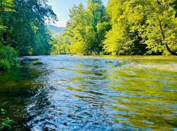 The Hala Lodge and Campground -Riverfront Class 5 -2bed 2bath on Nantahala River，位于布赖森城的酒店