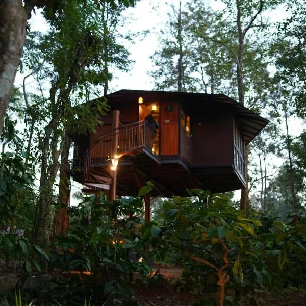 Pugmarks Jungle Lodge，位于Chekadi的酒店