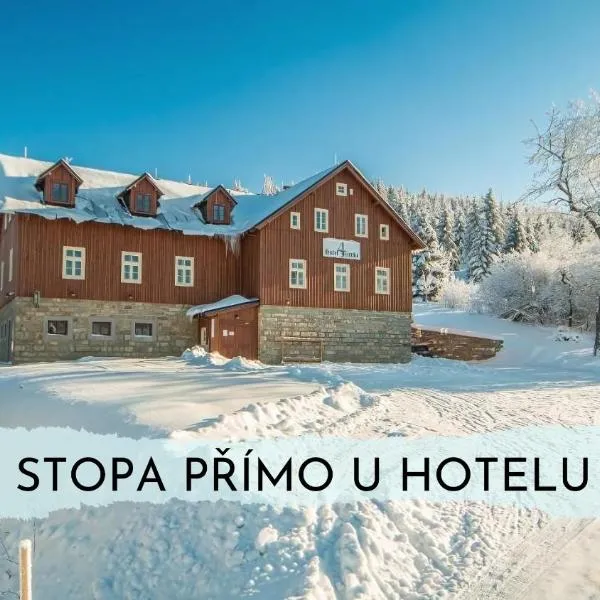 Hotel Jizerka 4，位于Dolní Polubný的酒店