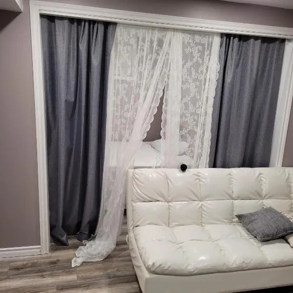 Adorable Studio Basement Suite in South Barrie，位于巴里的酒店