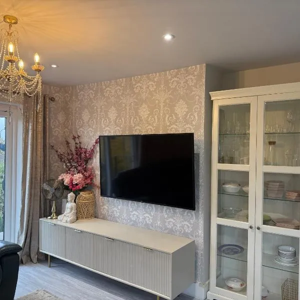 Luxury Spacious Flat close to Central London，位于伦敦的酒店